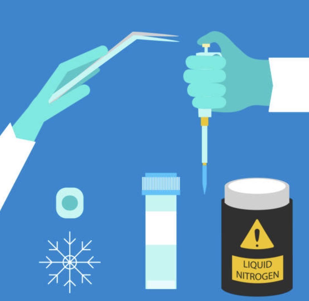 Stem Cell Banking